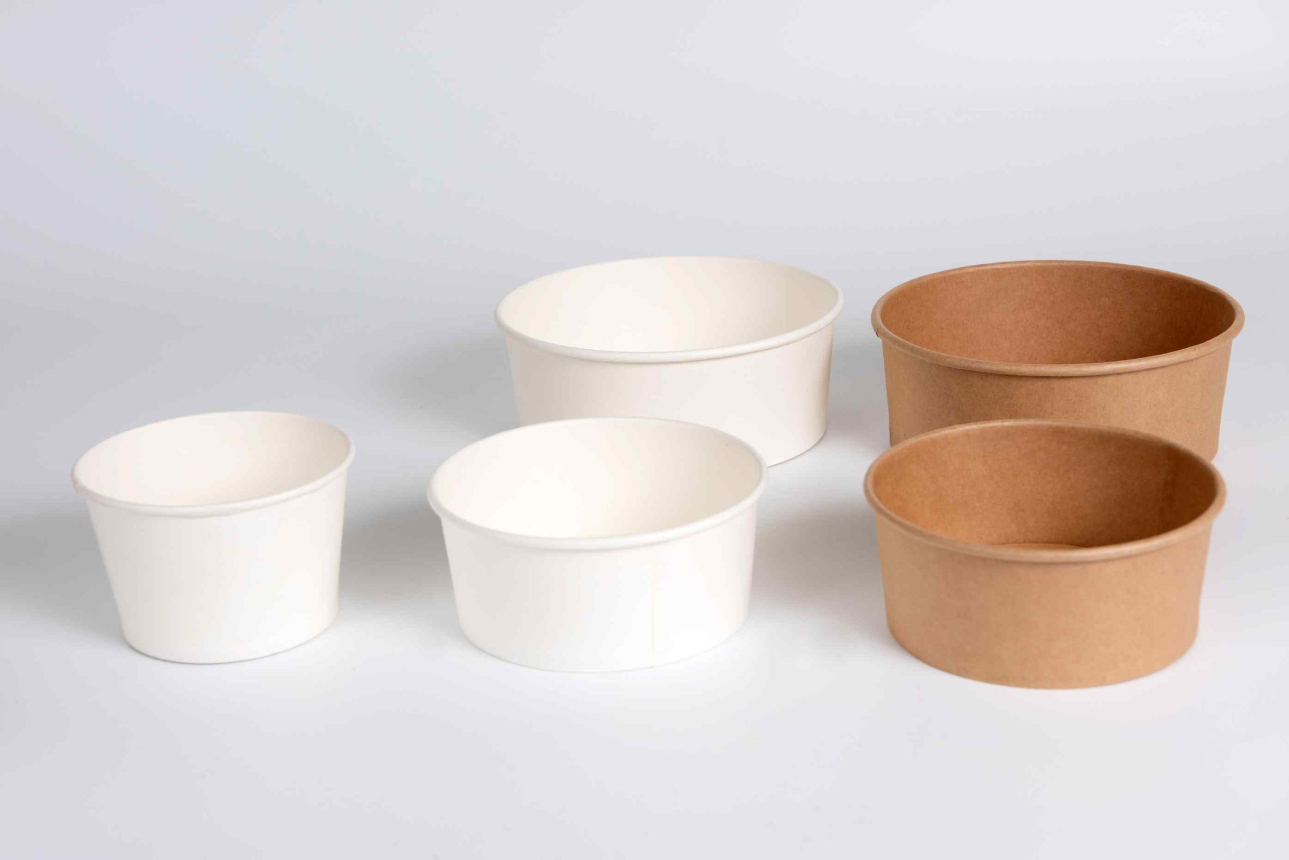 Paper Bowl (1)