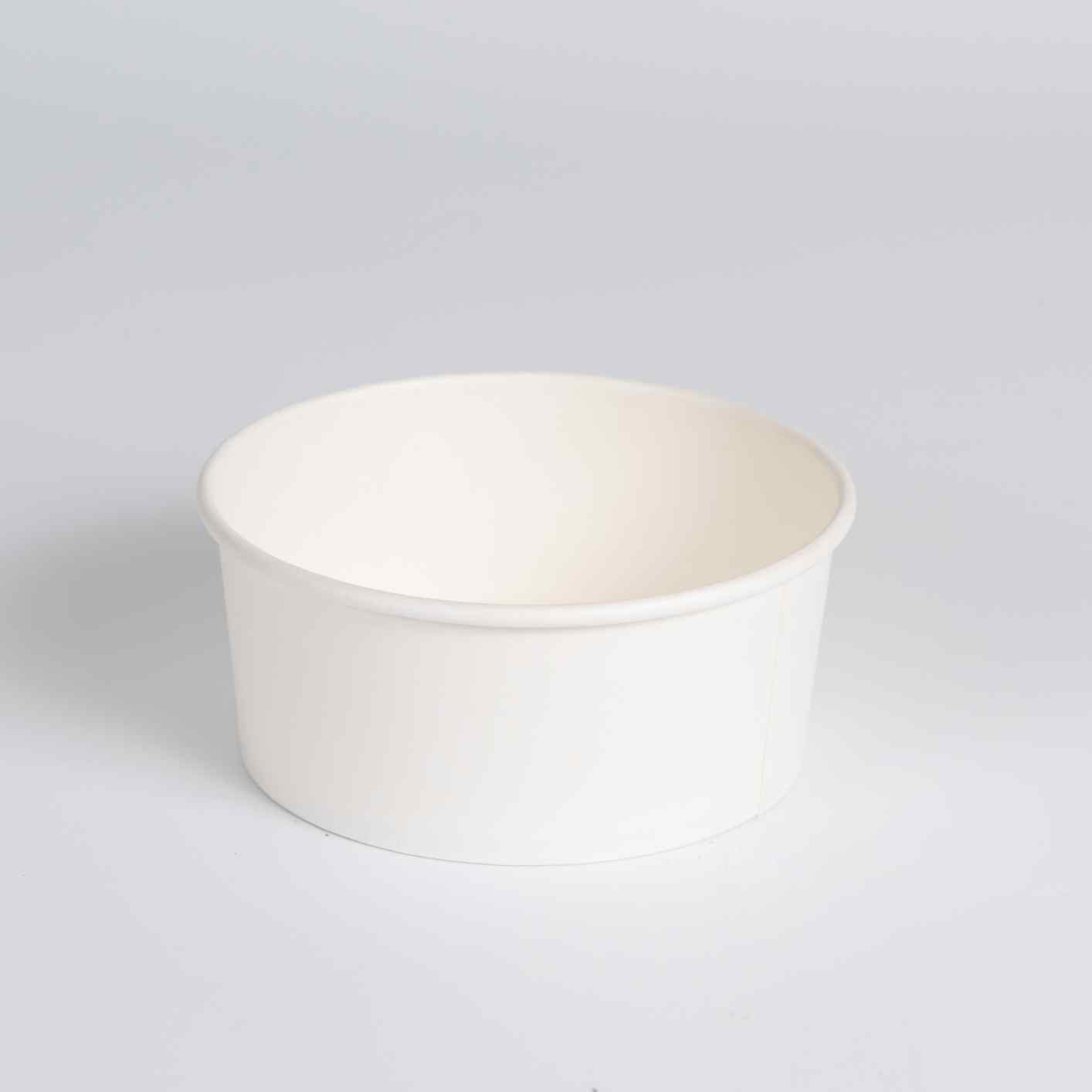 Paper Bowl (2)