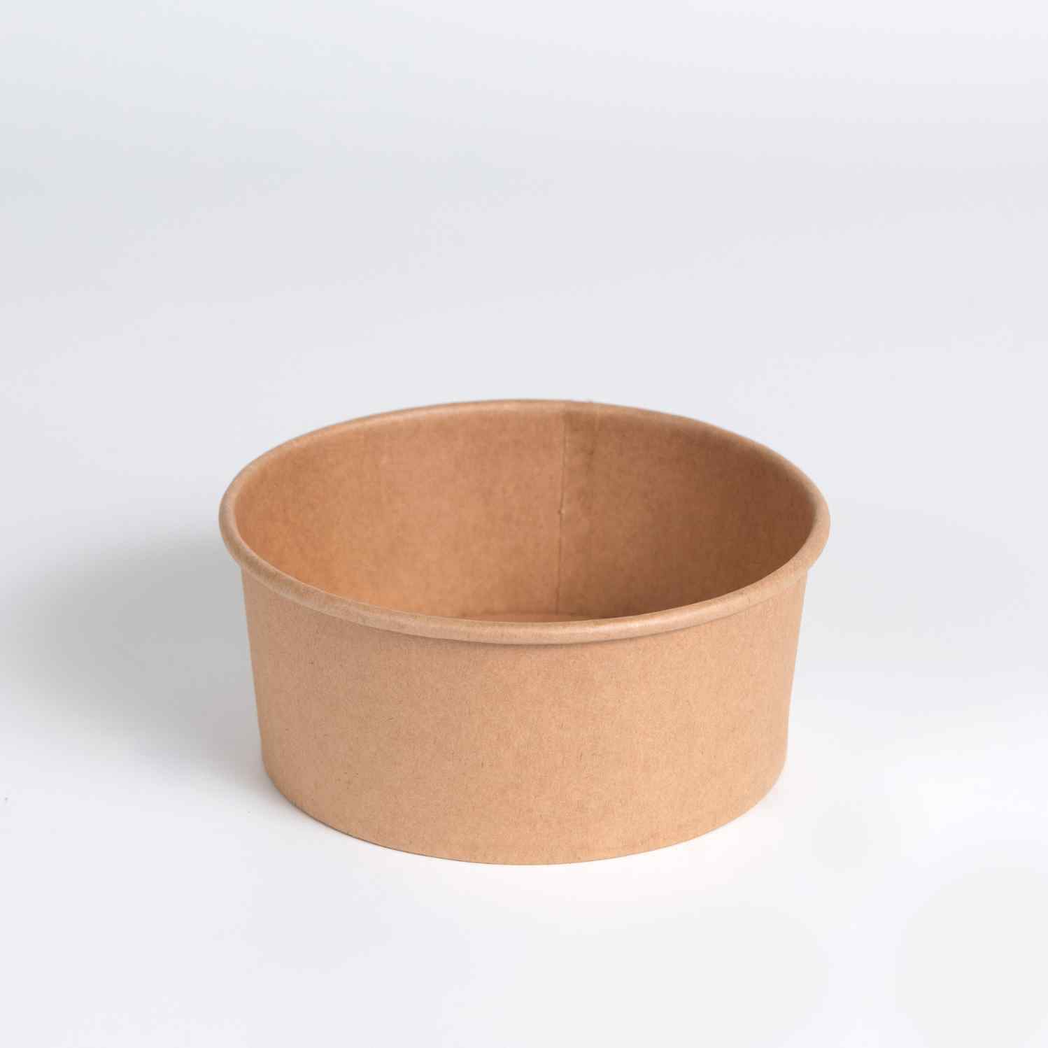 Paper Bowl (3)