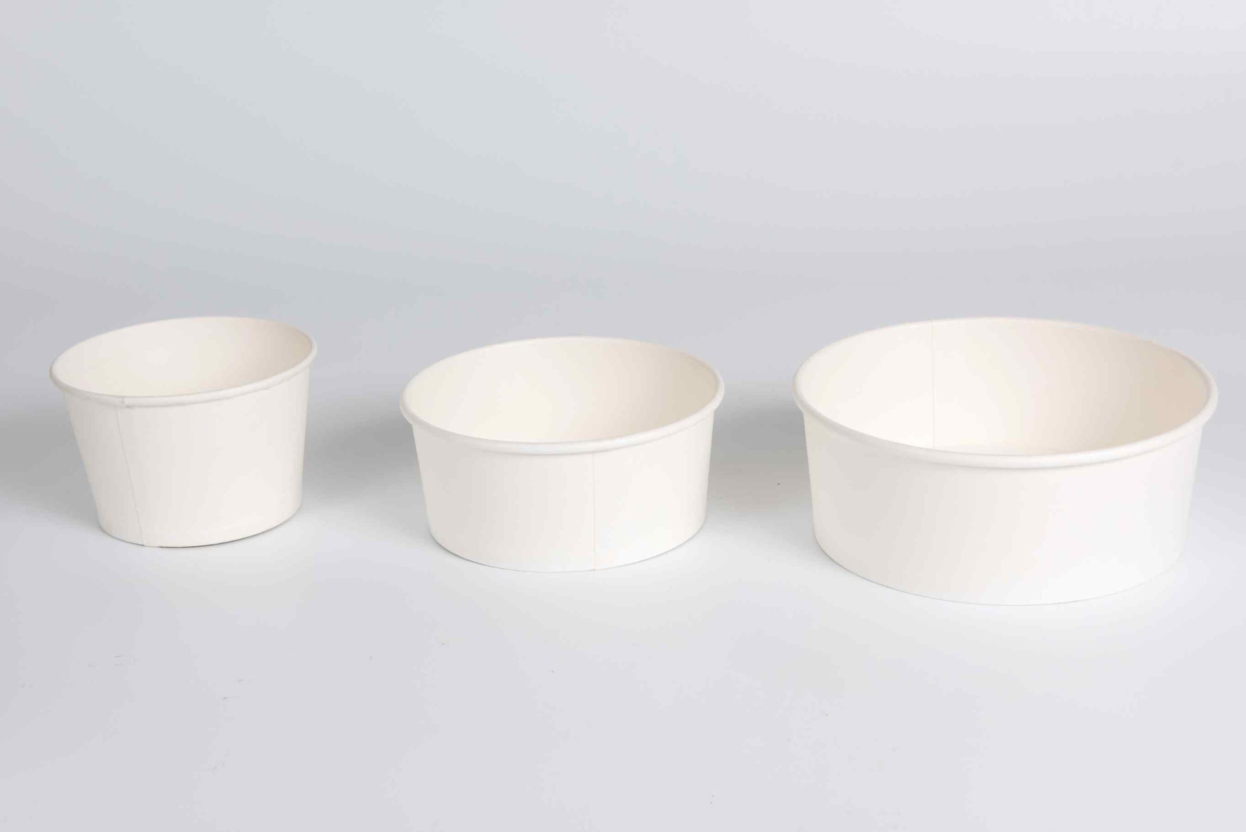 Paper Bowl (4)