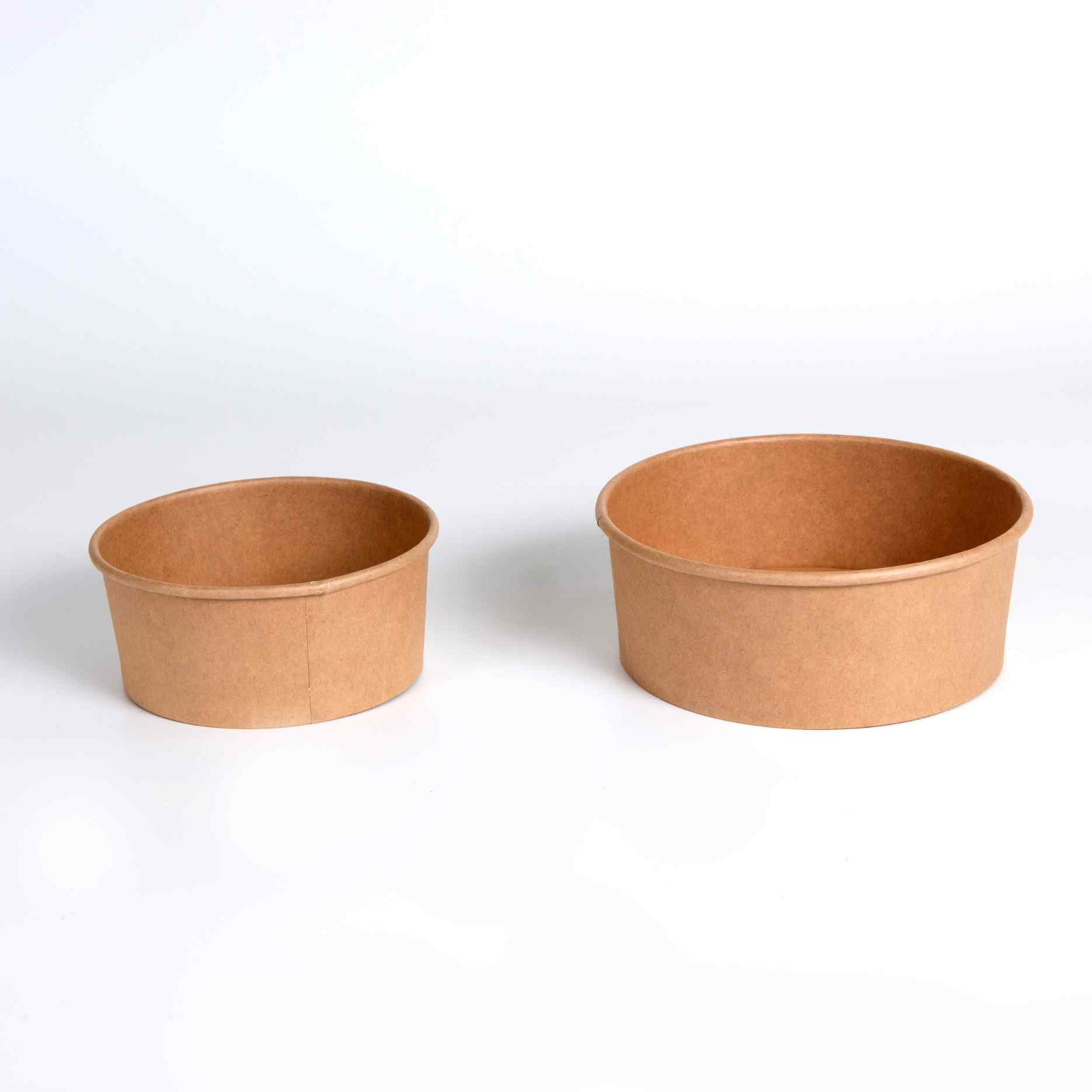 Paper Bowl (5)